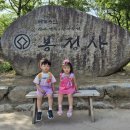 구피애견 | 설호네 26.05.24~26.05.30 일상&amp;육아 일기