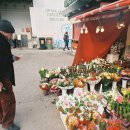 인화아이프라자 이미지