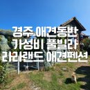 라라랜드 풀빌라 | 경주 애견동반 독채 수영장 운동장 라라랜드애견펜션