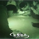 알파중부본부