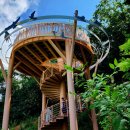 돌리네습지 초소 이미지