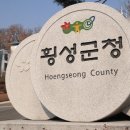 횡성군청 티스토리