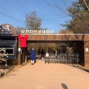 가락생태공원(1) | 좋은 곳 ㅣ 베베핀 티라노 덕분에 다녀온 부천 자연생태공원 1살 아기 후기 (입장료, 주차, 운영시간 꿀팁)