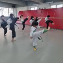 연세삼성태권도장 이미지