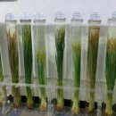 경기도 광주시 농업기술센터 이미지