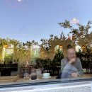 성산 농장 | 제주 성산 귤체험 카페 '덴드리 (Dendri)' 대만족 후기