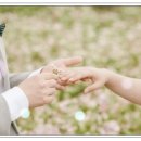 신랑각시결혼정보 이미지