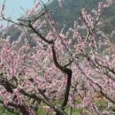 일영3리 | 금산군 탄서정(歎逝亭)