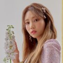 건강한다이아