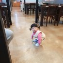 한우향가 이미지