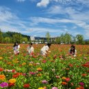 농업테마파크 이미지