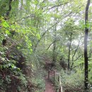 가리산자연휴양림 이미지