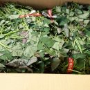 한얼농장 이미지