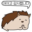 삼일돌구이