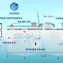 피쉬팜