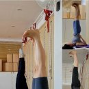 아란야 요가 이미지