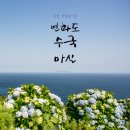 제 496회 정기 산행 경남 통영 연화도 수국꽃 축제 섬산행 (2026.6.20) 이미지