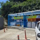 울릉푸른나무 이미지