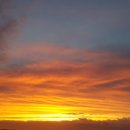 현대로1029번길 이미지