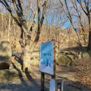 비슬산휴양림주차장매점 이미지