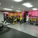 에스라인 휘트니스 이미지