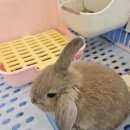 패러그린샵 명지점 이미지