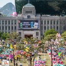 서울광장 뉴스1