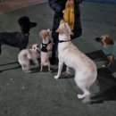 만월어린이공원 이미지