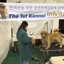 베스트 인 쇼 이미지