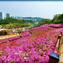 철쭉동산 이미지