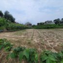 여주-0461 이미지