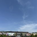 11530-08-05 | [서울/과천] 5월 서울대공원동물원 리프트 타고 다녀온 후기 꿀팁까지