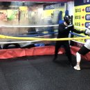 한철민복싱클럽 이미지