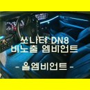 올엠비언트라이트