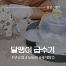 딩동멍 | 딩동펫 달팽이 급수기 완벽 세척, 분해부터 조립까지 관리방법 총 정리