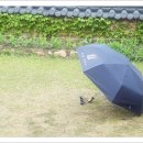 별미밥상 이미지