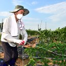 사계절농장 이미지