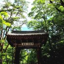 승원수학 | 충북 보은여행 필수코스 속리산세조길 법주사 힐링산책 여름숲길여행 굿
