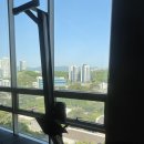 펑셔널짐 바이 율핏 | 원주헬스장 펑셔널짐 바이 율핏 그룹 PT 무실점