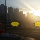 호만빌딩 이미지