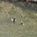 당현천길 이미지