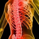 바른 자세 요가 이미지