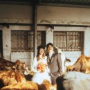 민정목장 이미지