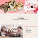 엔디자인컴퍼니 이미지