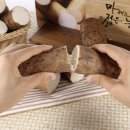 부용할인마트 | 위 건강을 위한 식단 가이드: 장마 손질법, 보관 방법 및 실구매 후기