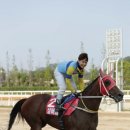 (주)오너스스포츠 스포츠경향