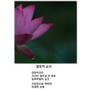 결정적순간 - 안양시 만안구 오리로34번길 25-17 | 결정적순간