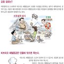 횟집의 비브리오 패혈증... 이미지