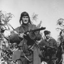 파르티잔 이미지