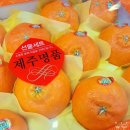 쇠소깍휴게소농수산직판장